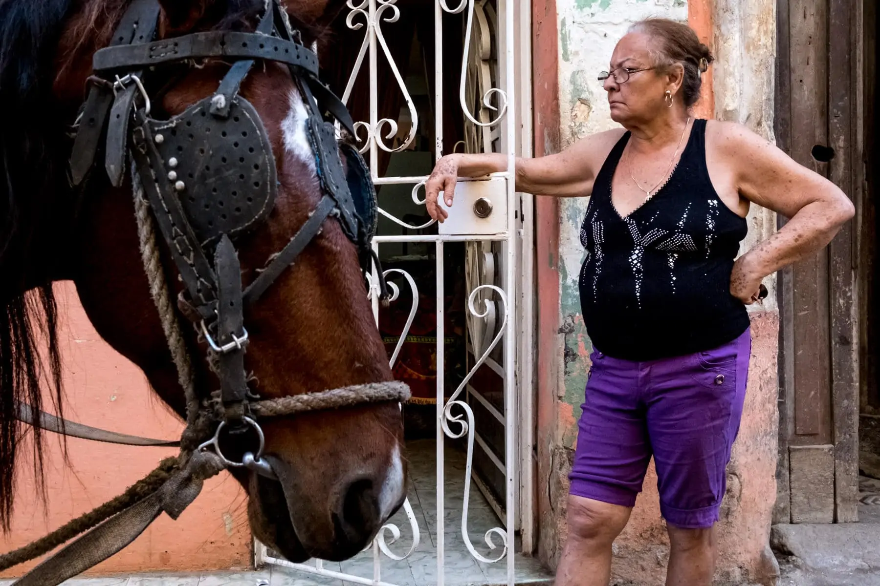 An old women and a horse on the streets of Havana