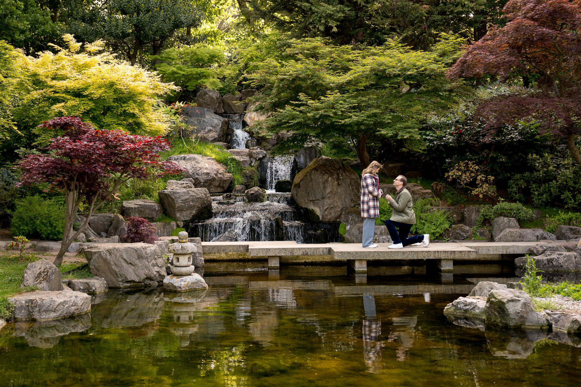 A man proposing to his girlfriend on the foot bridge in Kyoto Gardens with the waterfall behind them